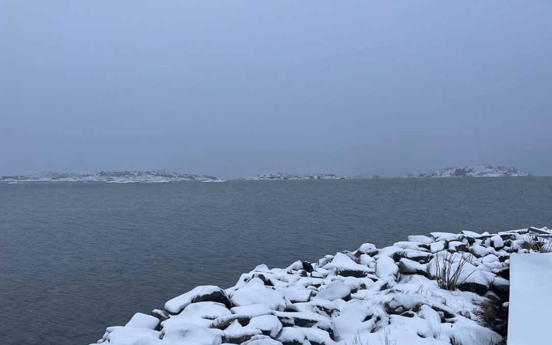 Det blev en oväntad paus