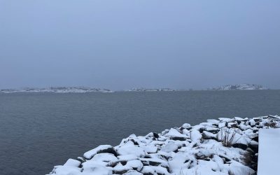 Det blev en oväntad paus